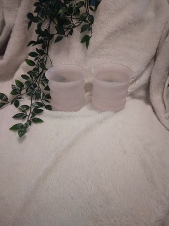 Lot  de 2 pots roses