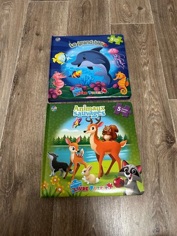 Lot 2 livres puzzles 