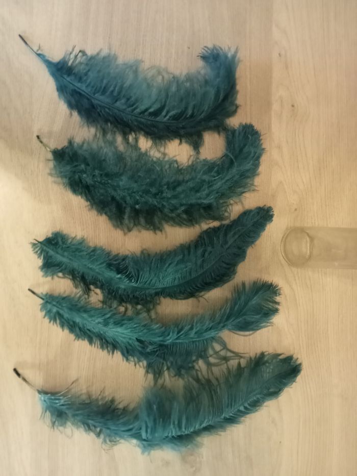 Plumes d'oie + vase