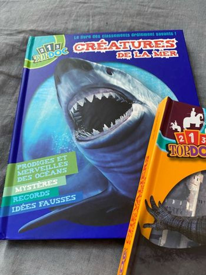 Lot de 2 livres 123 Topdoc Fleurus - photo numéro 2