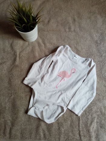 Bodie, fille, 24 mois