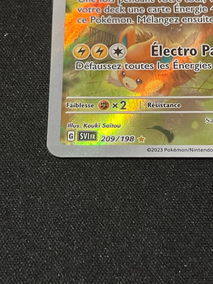 Pohmarmotte 209/198 - photo numéro 2