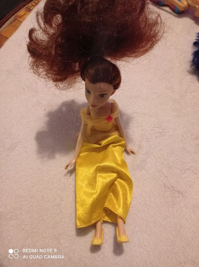 Princesse disney