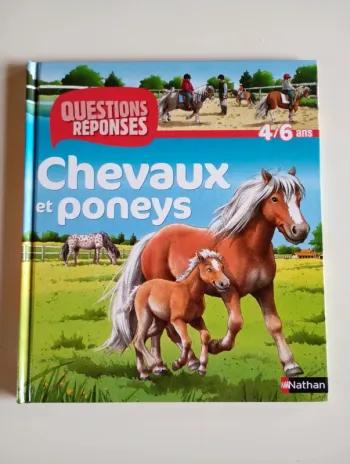 Questions réponses : chevaux et poneys