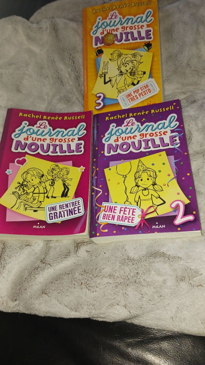3 livres. Le journal d'une grosse nouille.