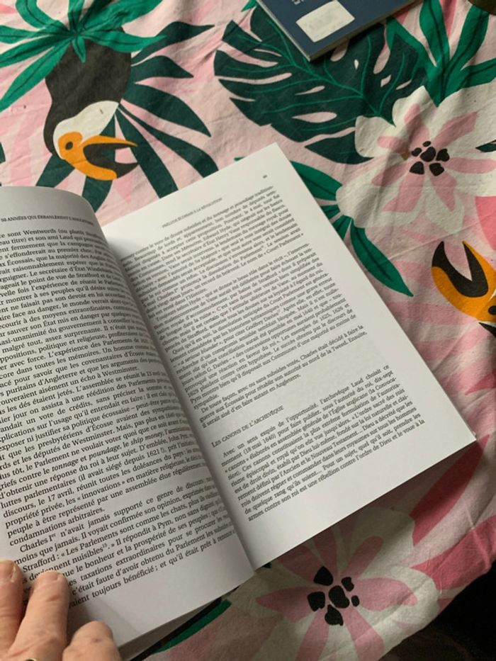 50 ans qui ébranlèrent l Angleterre - photo numéro 6