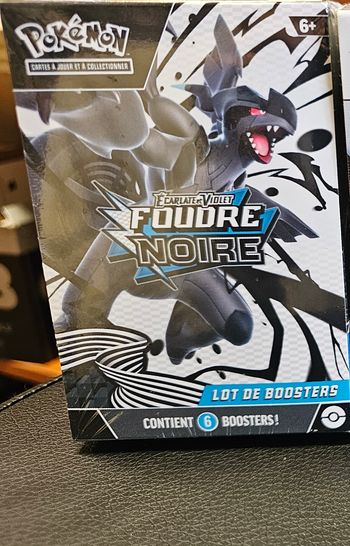 Bundle foudre noire ev10.5