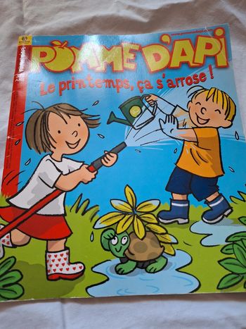 Pomme dapi
