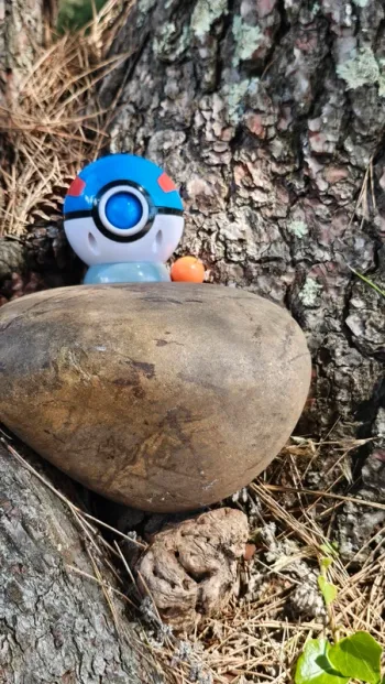 Super pokeball a qui tire des billes Pokemon Nintendo