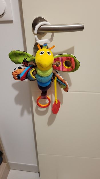 Freddie la Luciole