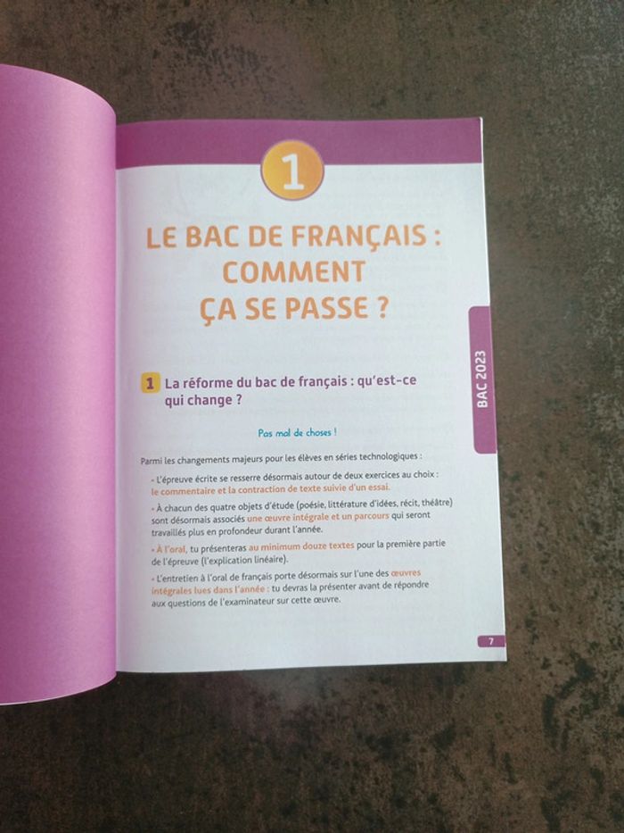Livre bac de français - photo numéro 4