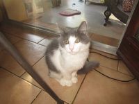 profil