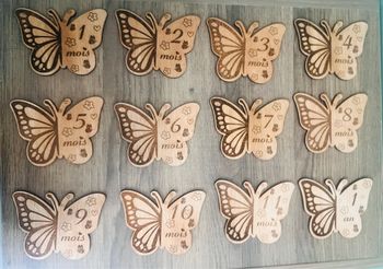 Cartes étapes 1 à 12 mois