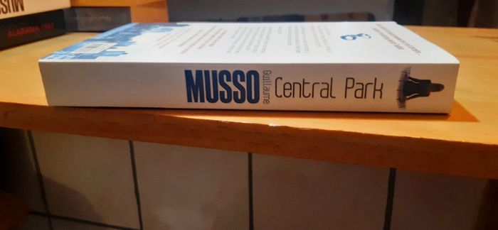 Roman Central Park - photo numéro 4