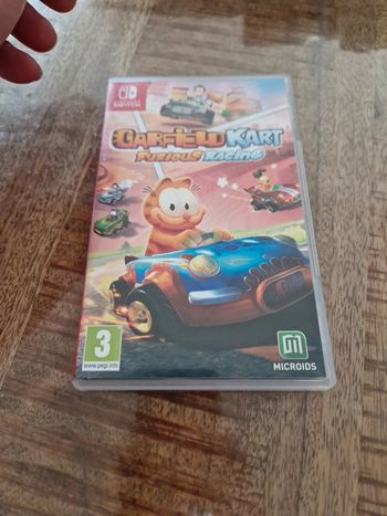 Garfield kart switch