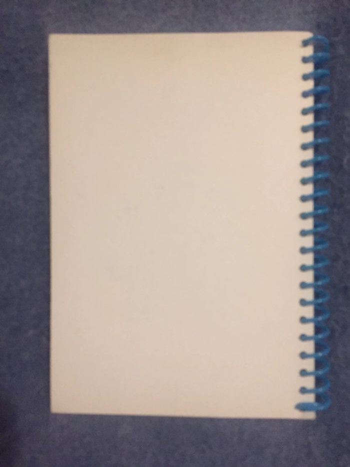 Carnet Ratatouille - photo numéro 2