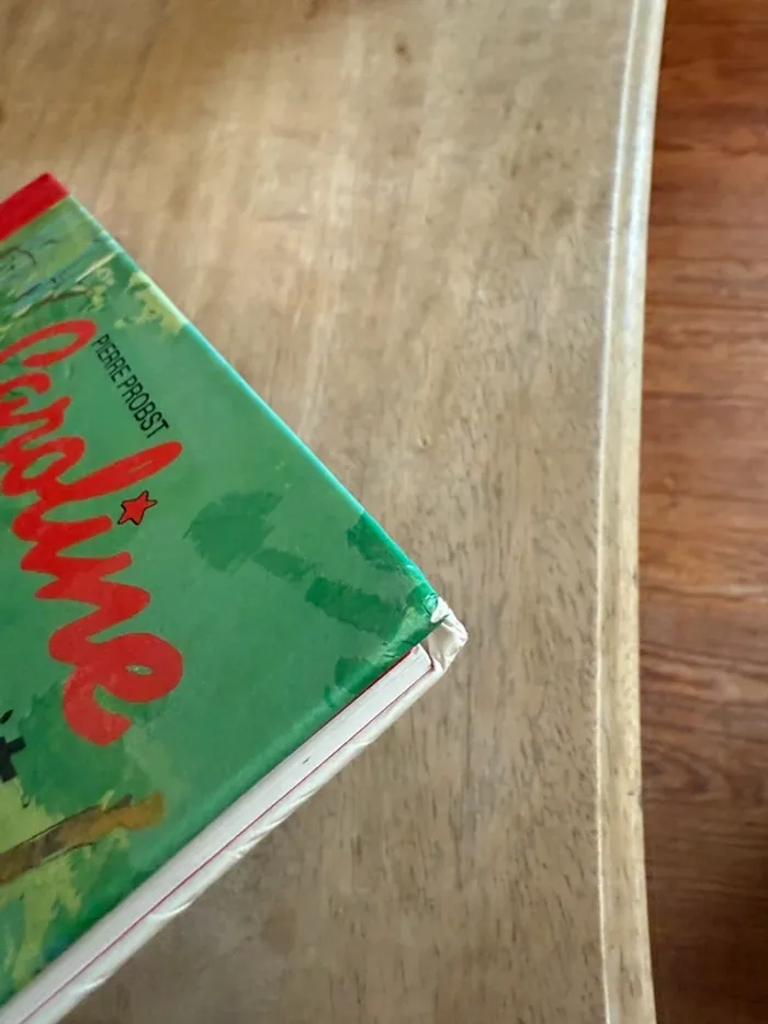 Édition limitée reliure rouge collector - BE Grand livre Caroline et Boum Ermite Pierre Probst - photo numéro 3