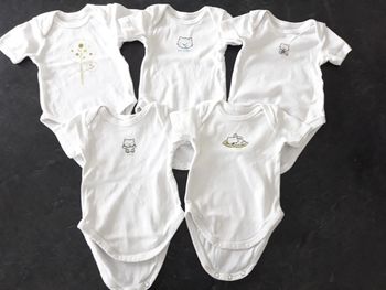 Lot 5 bodies