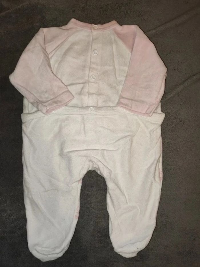 Grenouillere - photo numéro 2