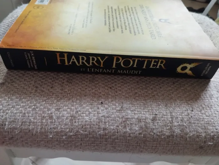 Harry Potter et l'enfant maudit - photo numéro 3