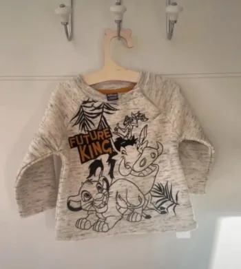 Pull Roi lion DISNEY