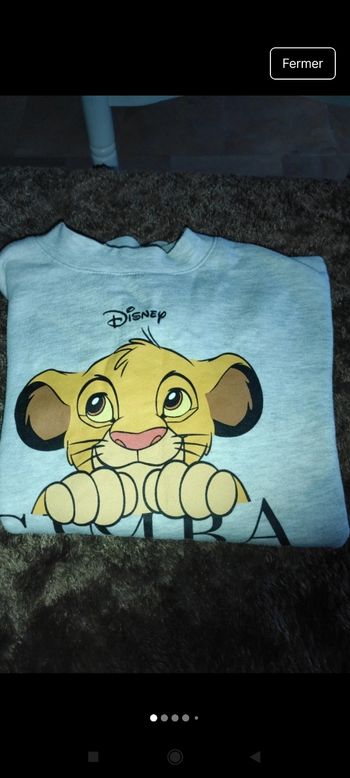 Très beau pull le roi lion f2