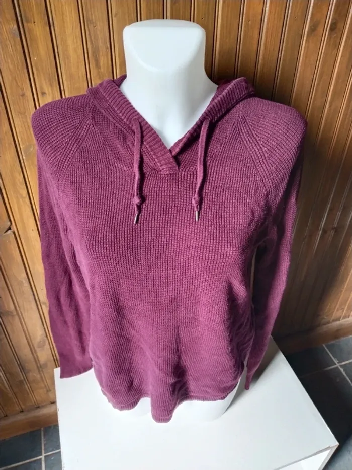 Joli sweat à capuche femme de marque Lauren Ralph Lauren taille M 38 40 - photo numéro 2