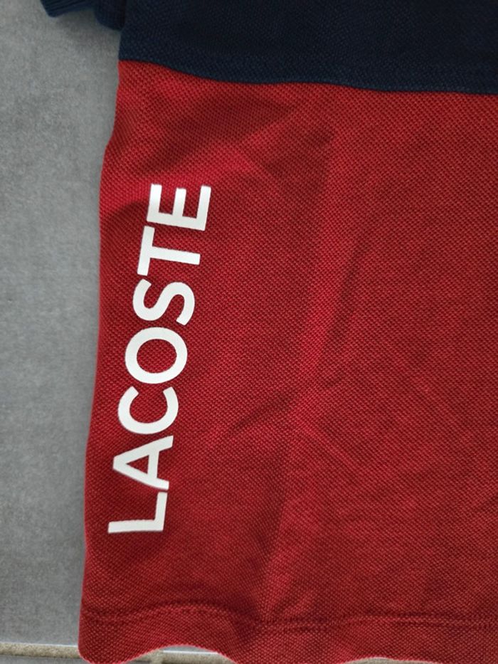 Polo manches courtes lacoste - photo numéro 2