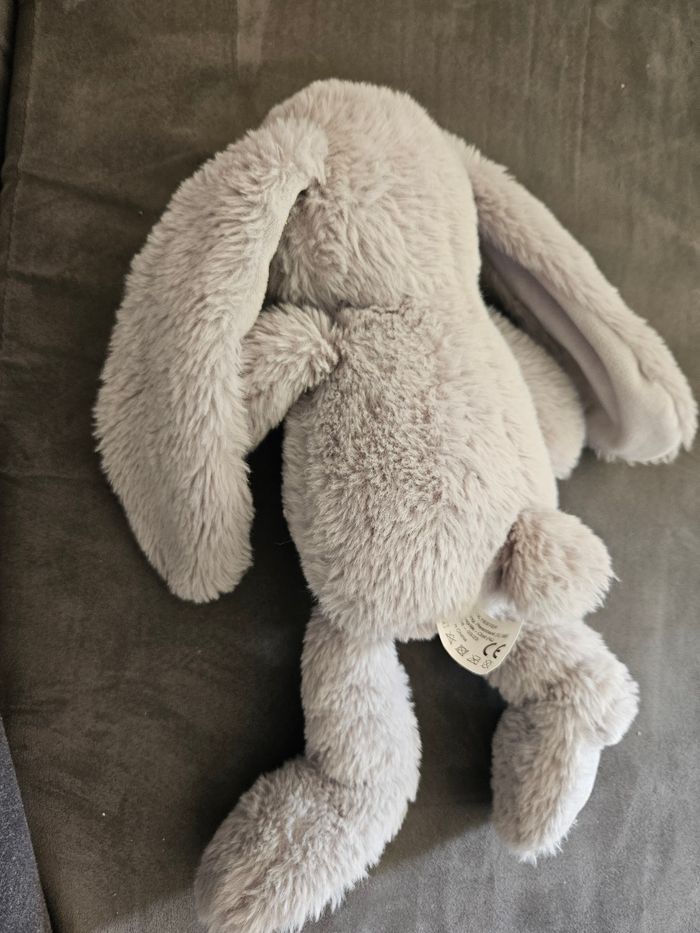 Lapin - photo numéro 3