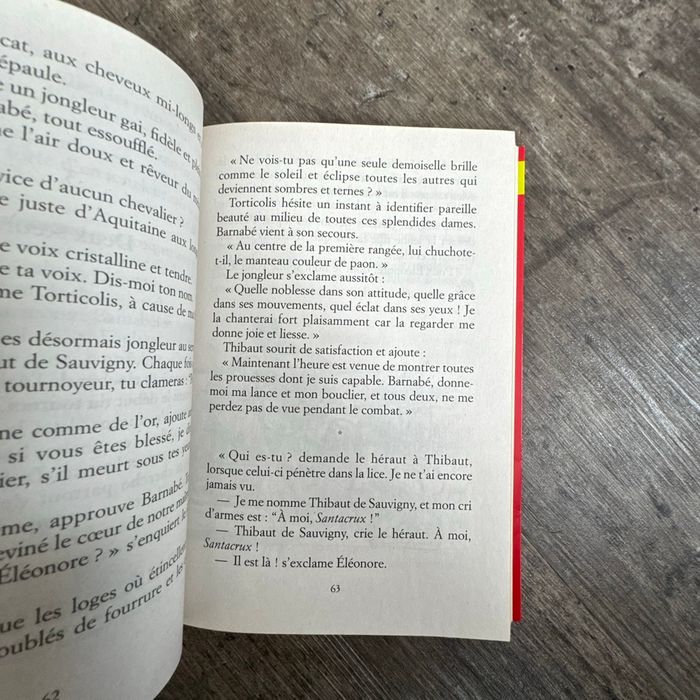 Odile Weulersse - le chevalier au bouclier vert - photo numéro 7