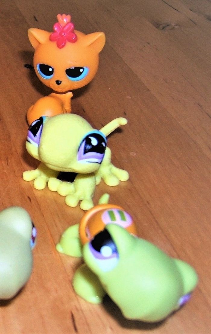 Pets Shop - photo numéro 3