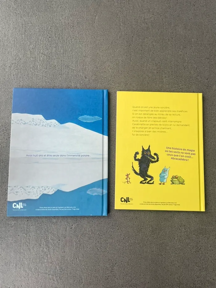 Lot 2 livres enfant Casterman - photo numéro 2