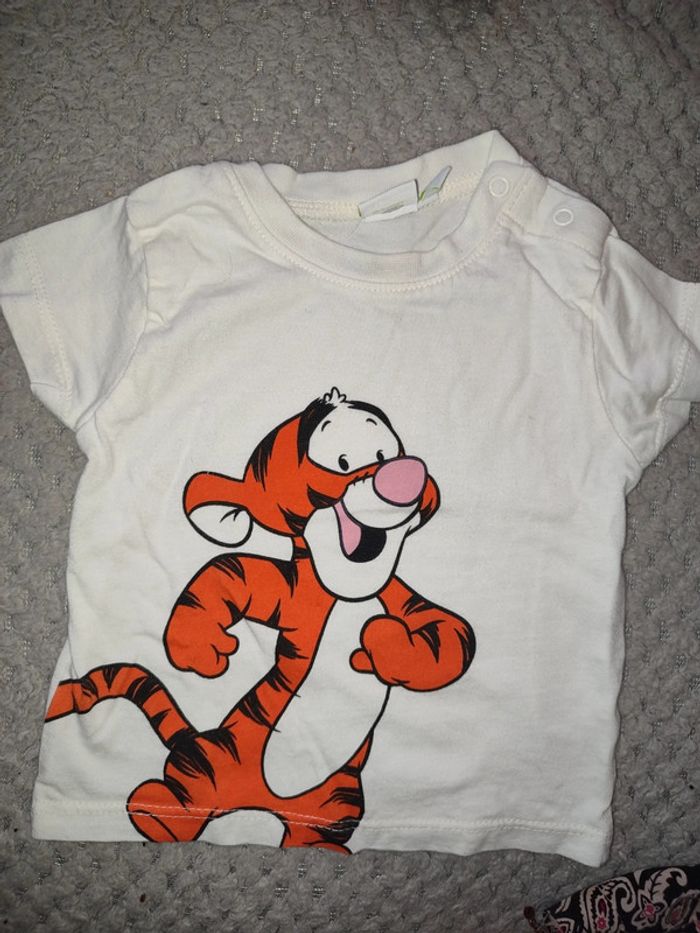 T shirt Tigrou garcon - photo numéro 3