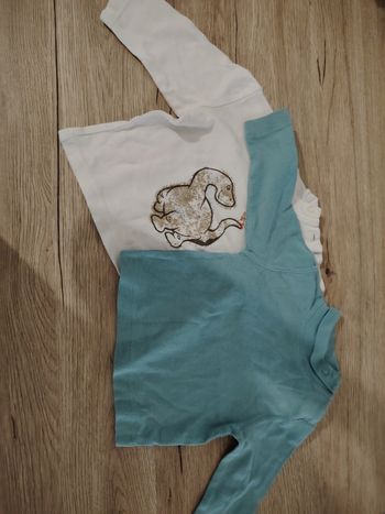 Lot 2 t-shirt manche longue