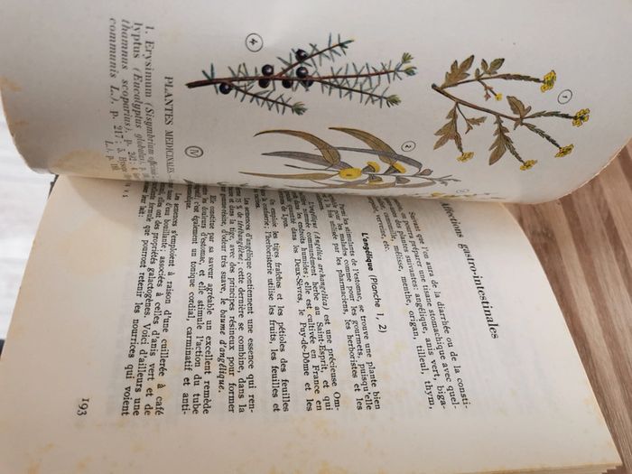 Livre ancien 1961 votre santé - photo numéro 10
