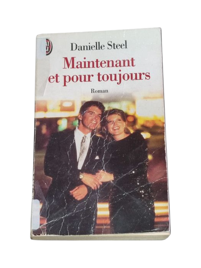 Lot 9 livres DANIELLE STEEL - photo numéro 6