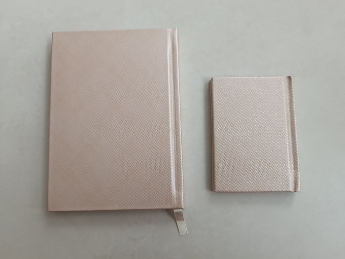 Lot de 2 - photo numéro 2