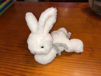 Peluche doudou, lapin Bukowski