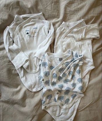 Lot 3 bodies 60 cm 