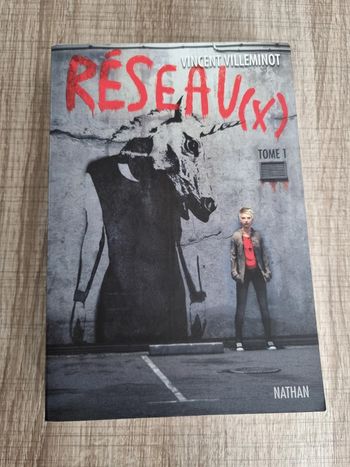 Réseau(x) de Vincent Villeminot