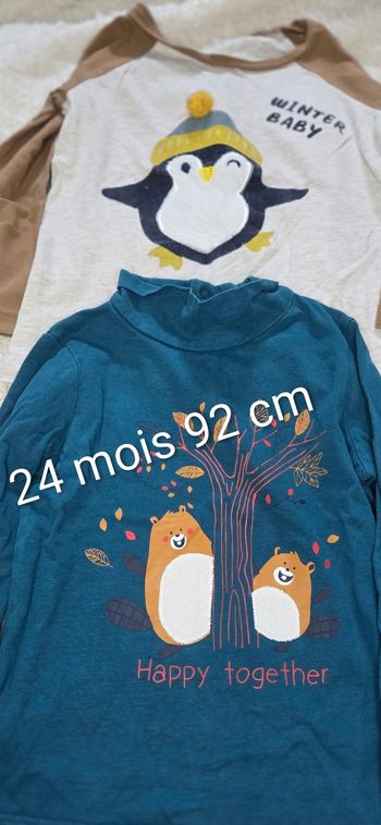 Lot 2 tee-shirts manches longues 24 mois 92 cm