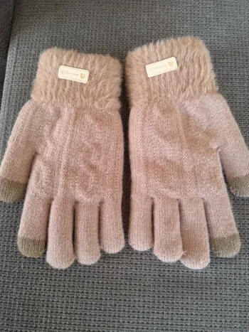 Gants Hiver