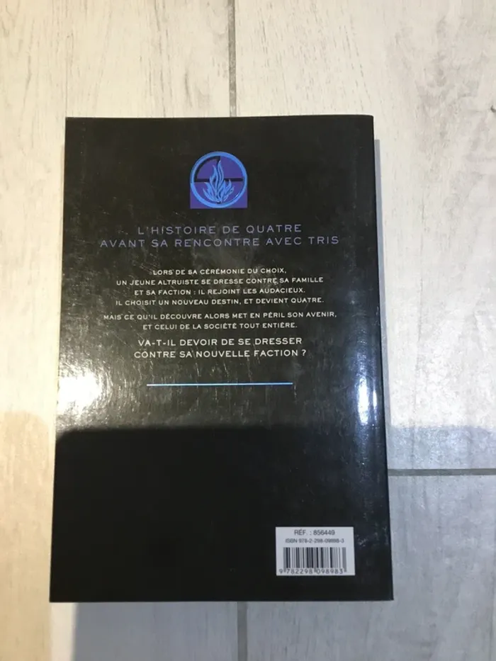 Divergente raconté par Quatre - photo numéro 2