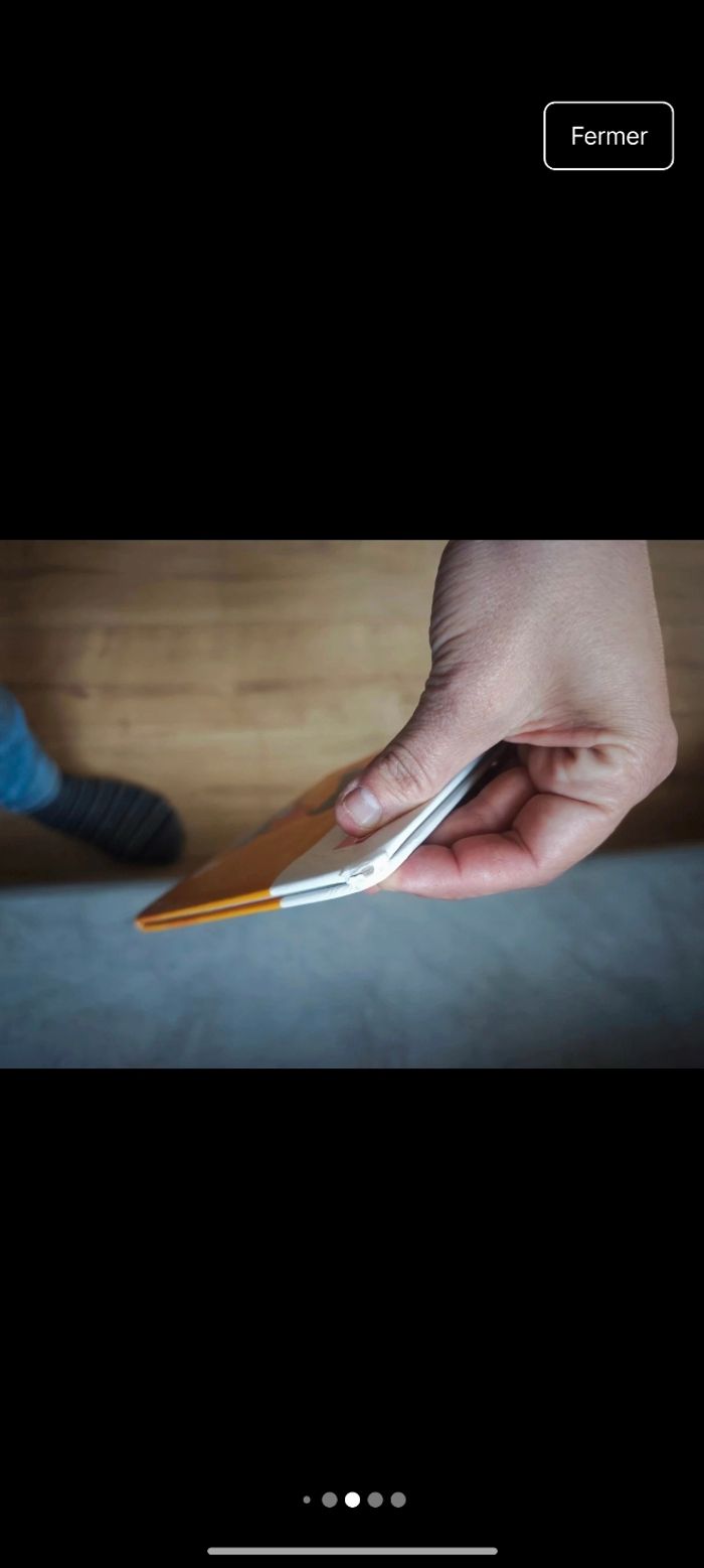 Lots 2 petits loups - photo numéro 5