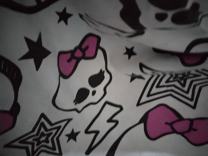 Très beau ensemble housse de couette et une taie d'oreiller assortie  "Monster high" - photo numéro 8