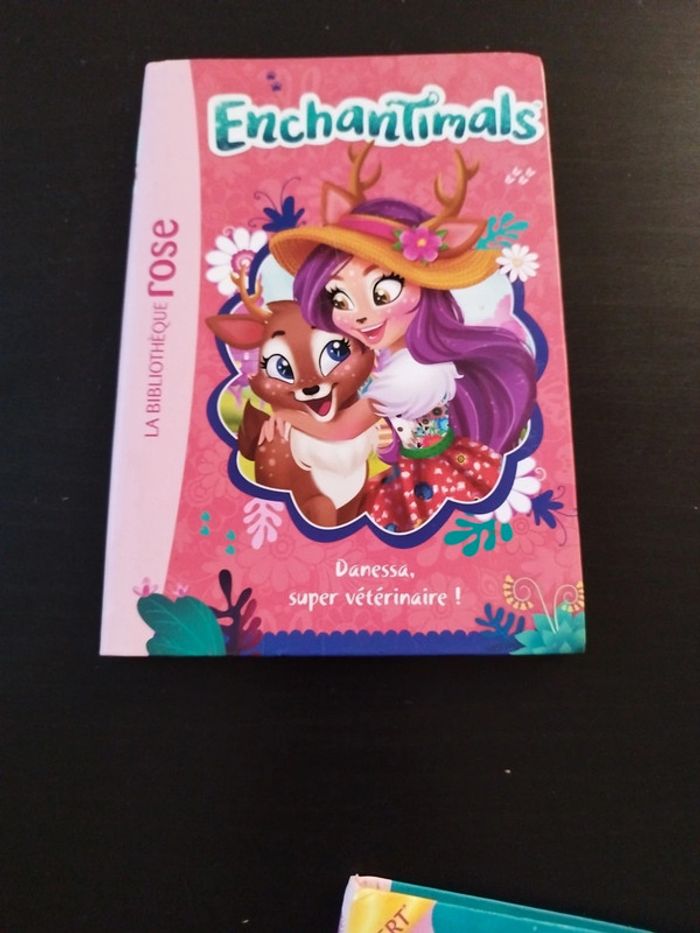 Lot 4 livres Enchantimals - photo numéro 2