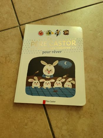 Le père castor raconte ses histoires pour rêver