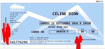 2 billet Céline Dion 