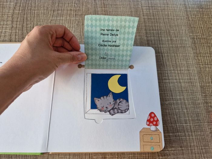 Lot de 2 livres en très bon état - photo numéro 3