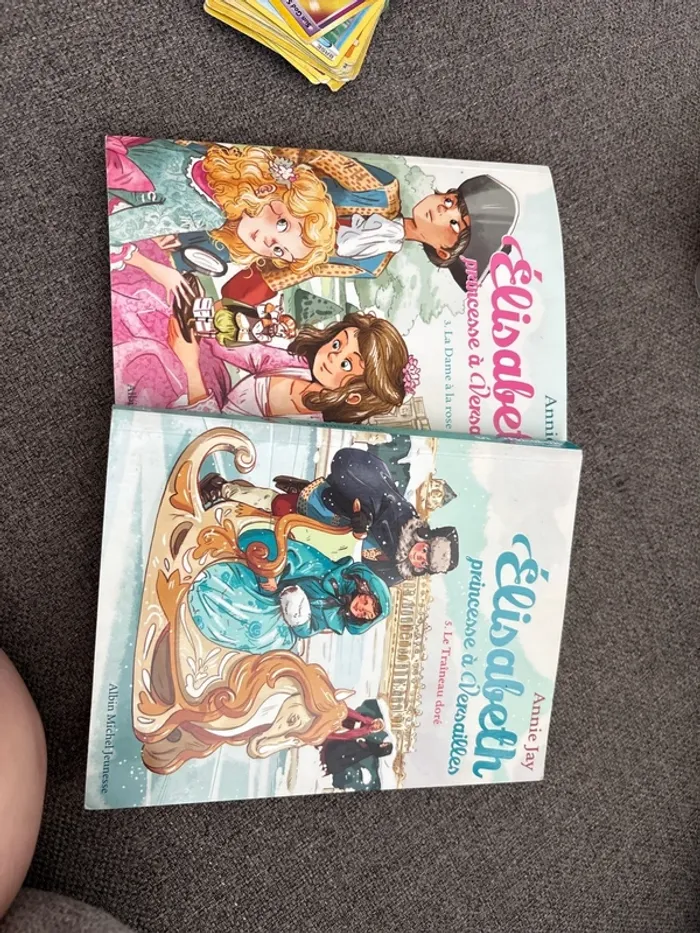 Lot de livre Élisabeth princesse à Versailles
